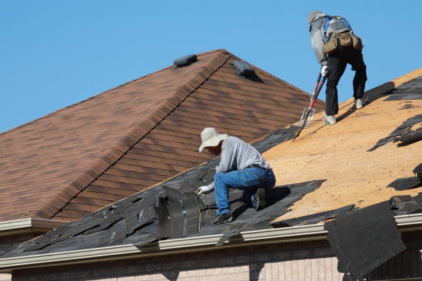 Fast & Reliable Emergency Roof Repairs in Talladega, AL