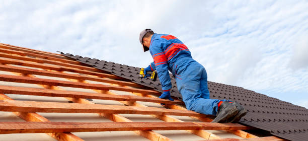 Best Metal Roofing Installation  in Tladega, AL